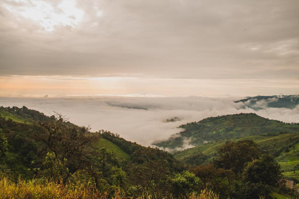 Free Image of Valley Covered in Low Lying Clouds 
