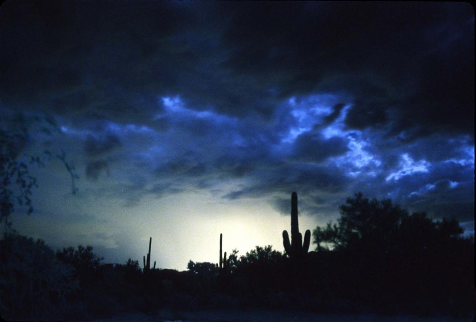 Free Image of Desert glow 