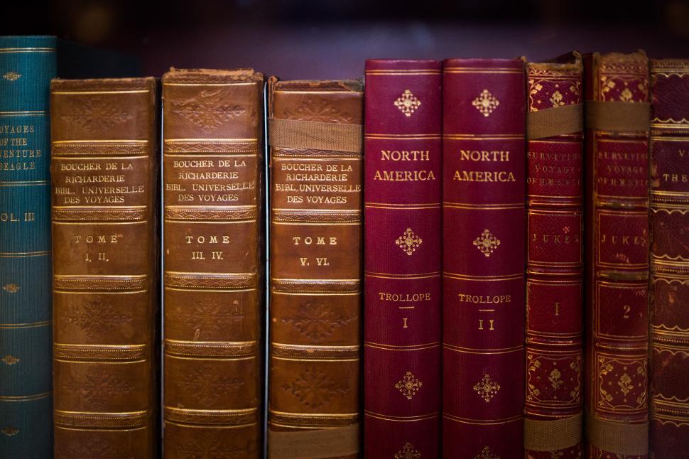Free Image of Row of Books on Shelf 