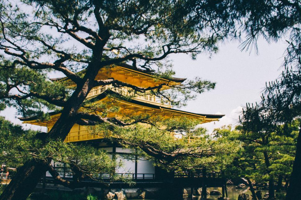 Free Image of Tall Yellow Building in Forest 