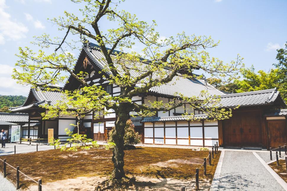 Free Image of Building With Tree in Front 