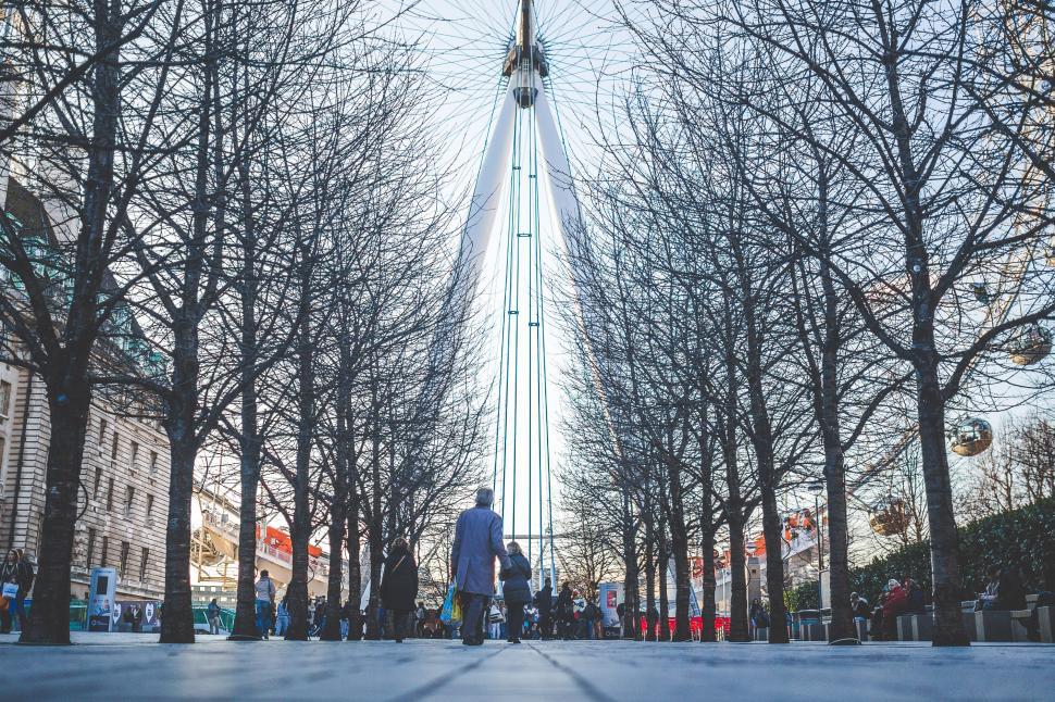 Free Image of Man Walking Down Street Next to Tall Trees 