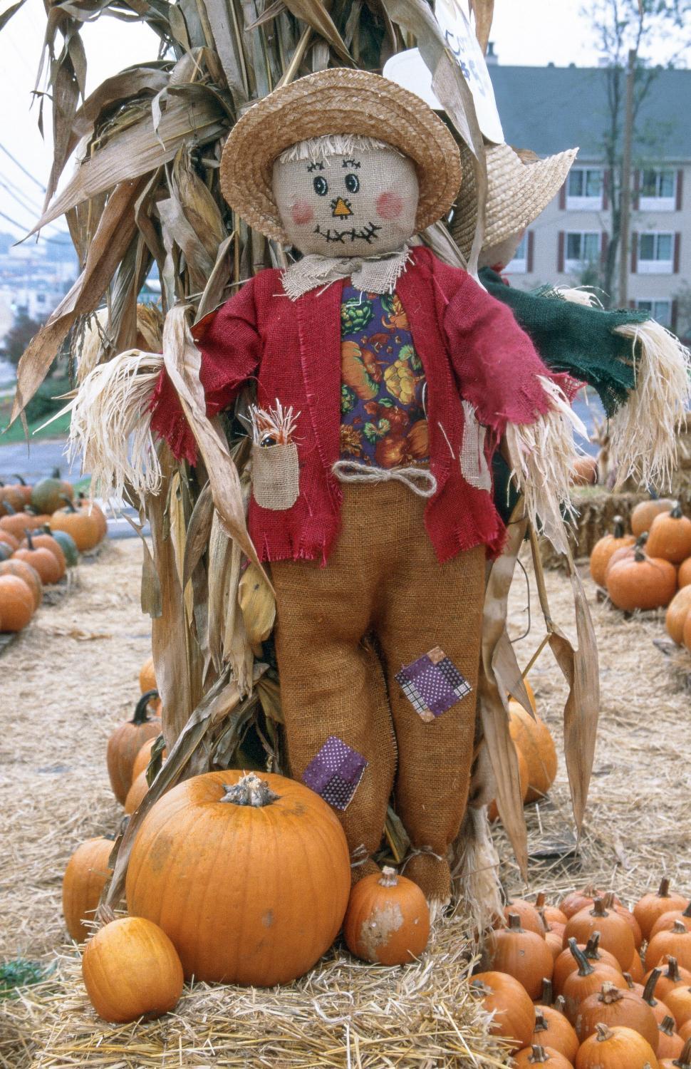 Free Image of Scarecrow 