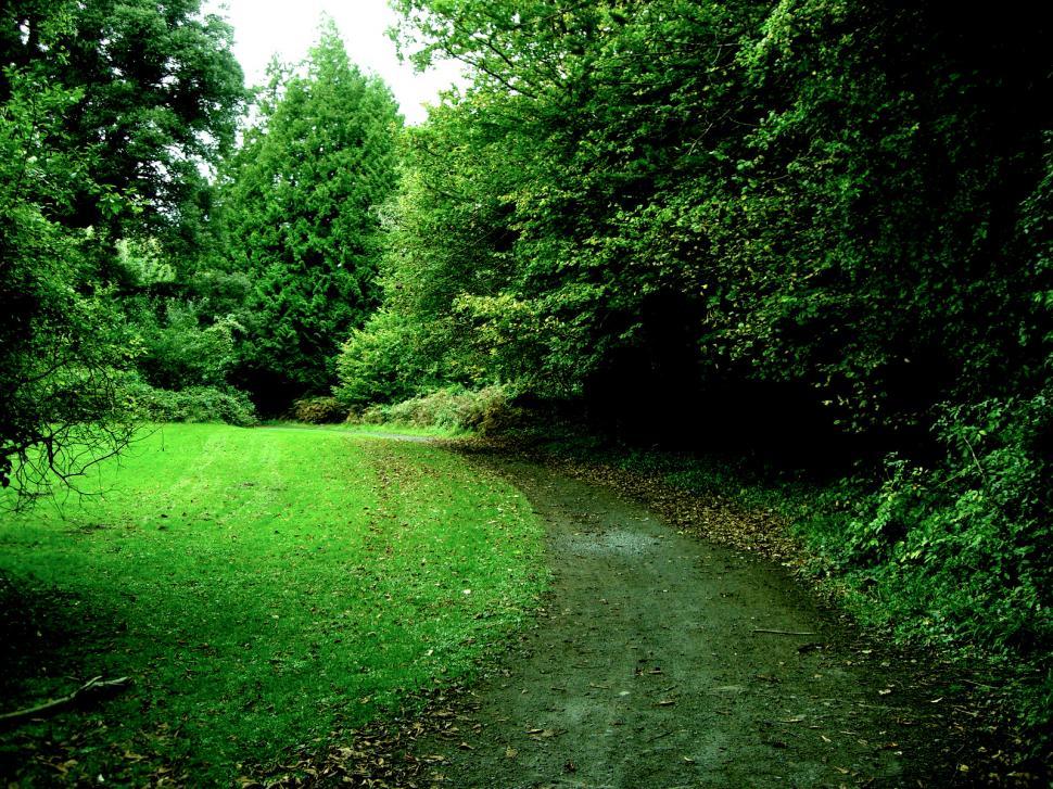 Free Image of Ireland - Dromoland Castle Grounds 