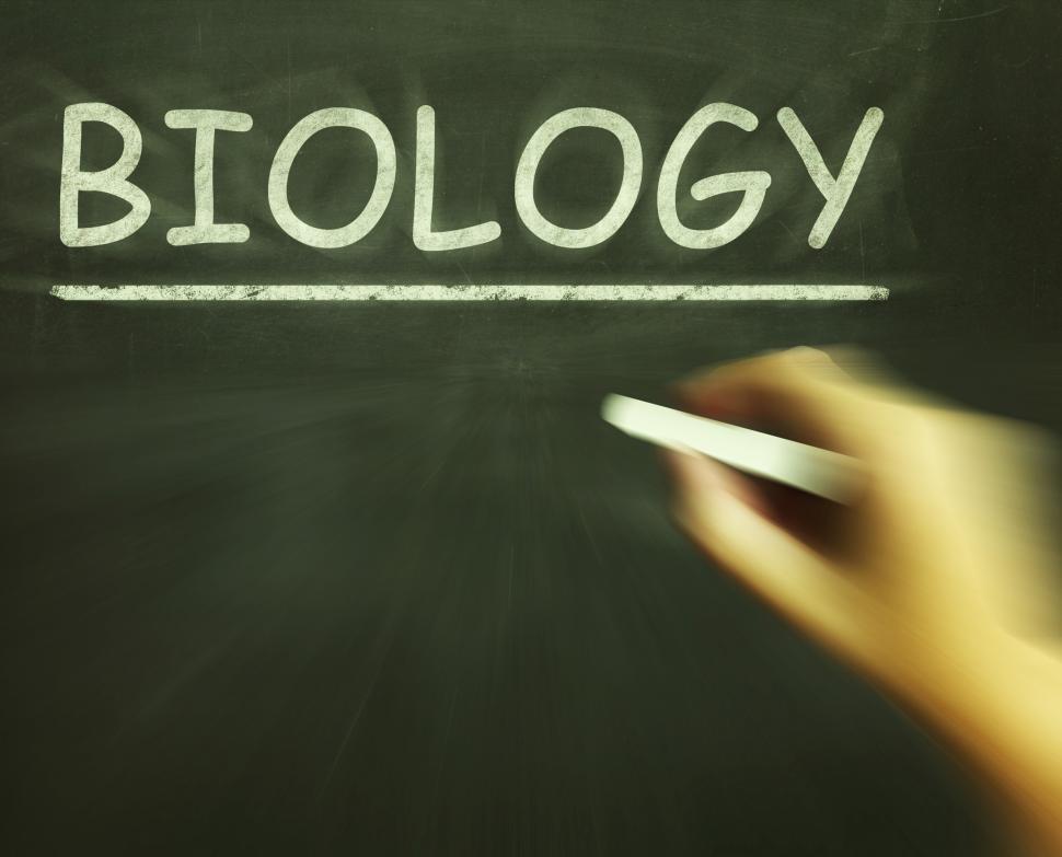 Free Image of Biology Chalk Shows Science Of Living Things 