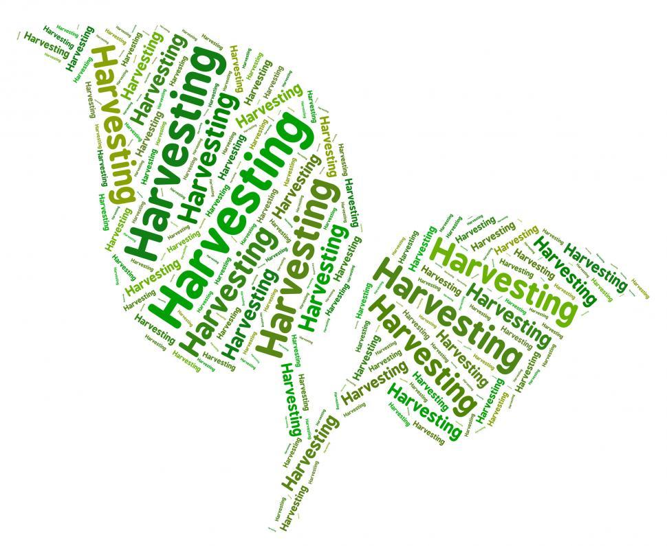 Free Image of Harvesting Word Means Words Gathering And Produce 