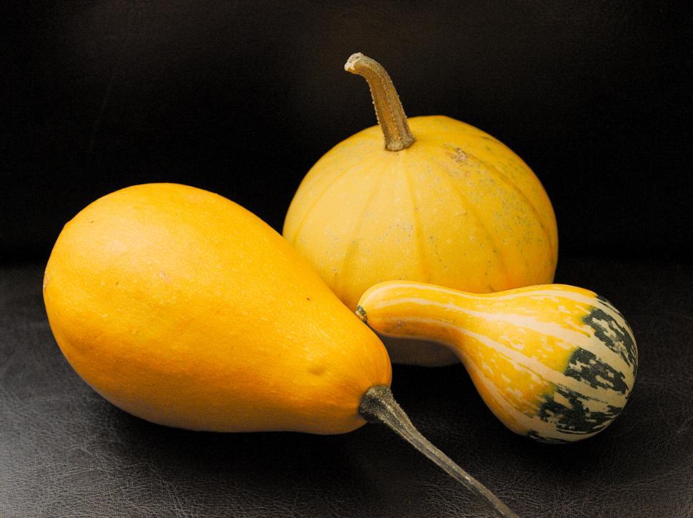 Free Image of Small pumpkins 