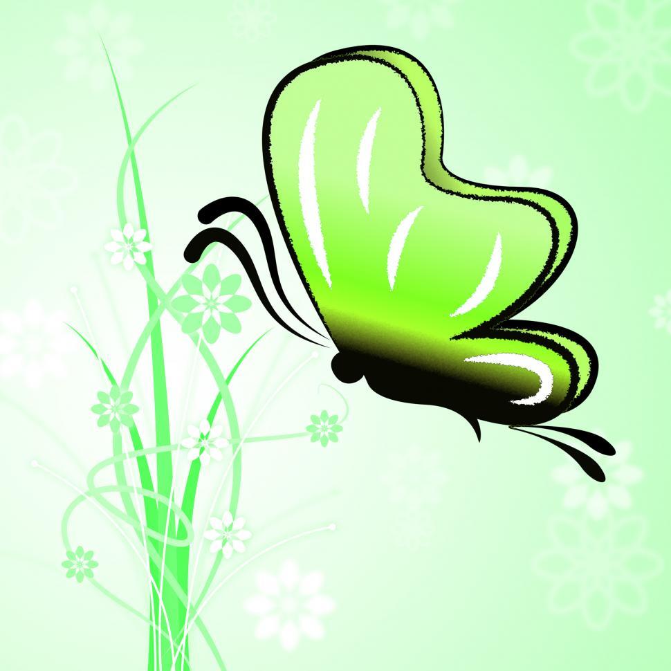 Free Image of Butterfly In Summer Represents Countryside Warmth And Outdoors 
