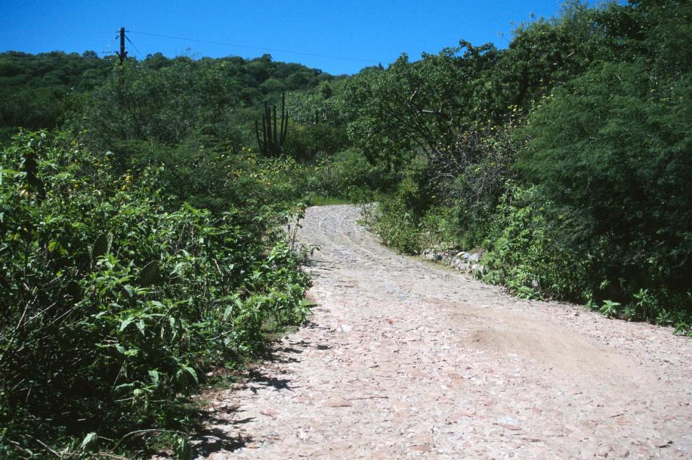 Free Image of Dirt and cobblestone road 