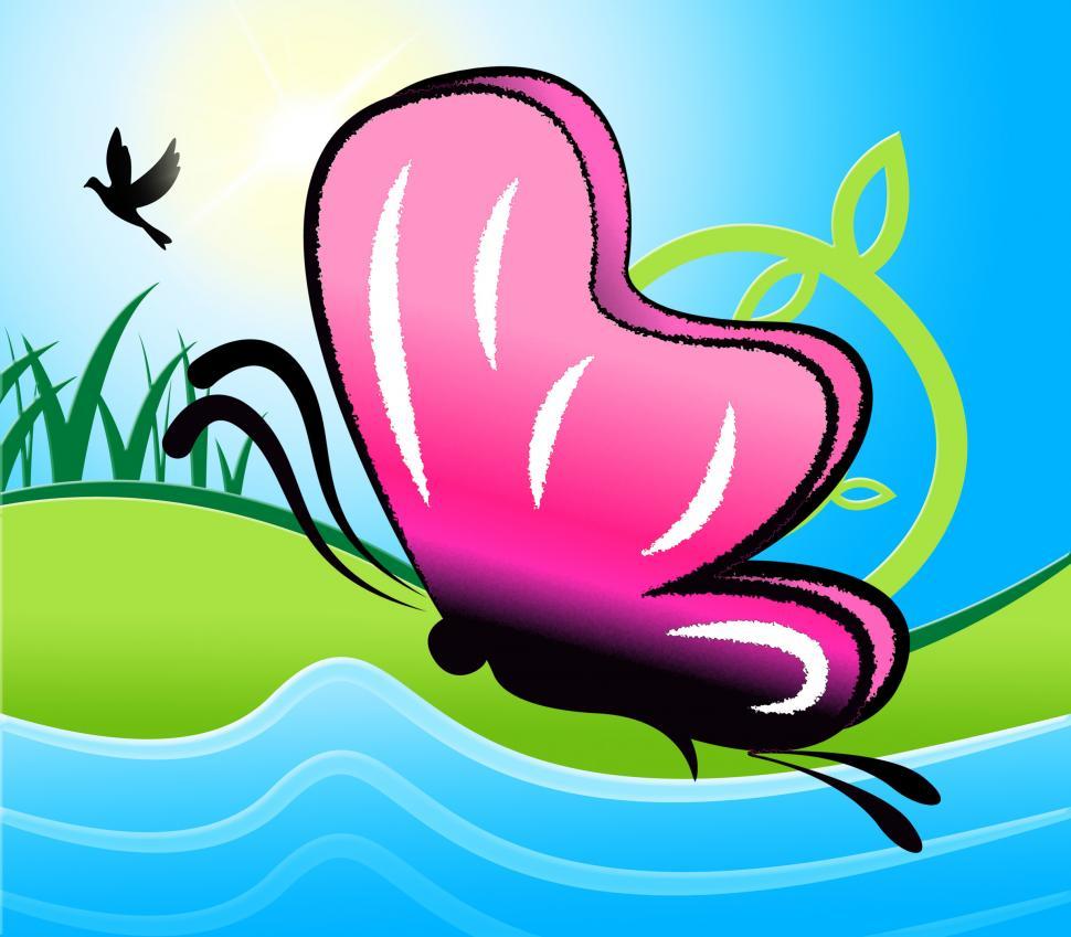 Free Image of Butterfly Nature Represents Natural Oceans And Butterflies 
