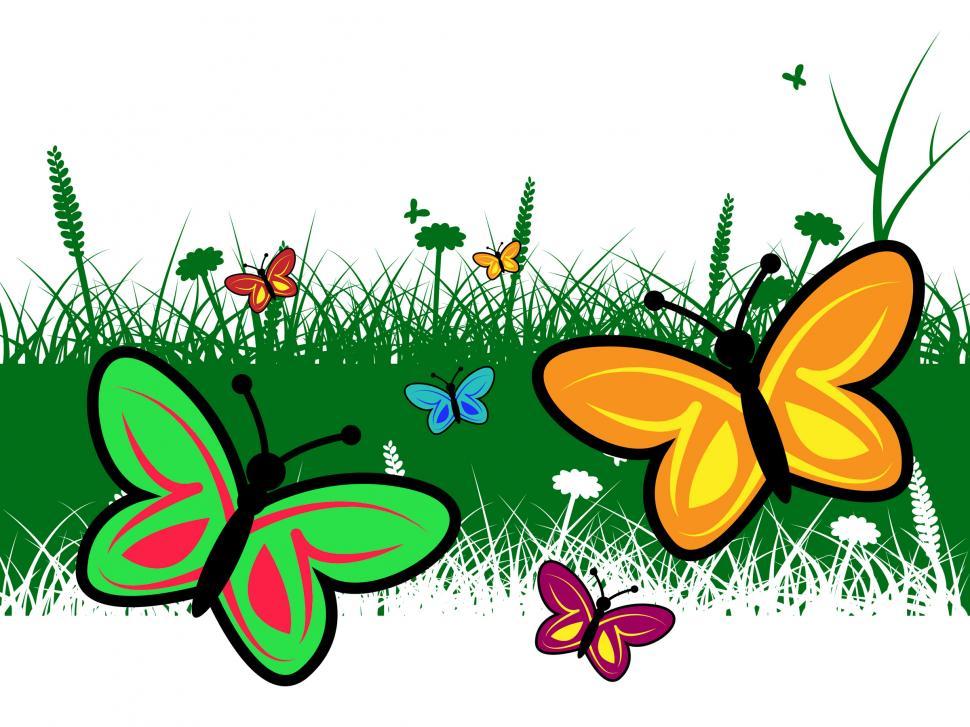 Free Image of Butterfly In Summer Represents Warm Butterflies And Summertime 