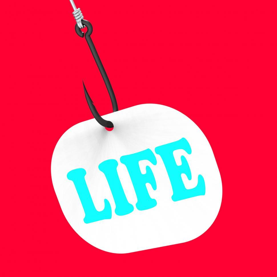Free Image of Life On Hook Shows Happy Lifestyle Or Prosperity 