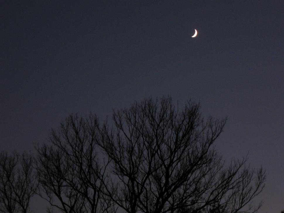 Free Image of Autumn moon 