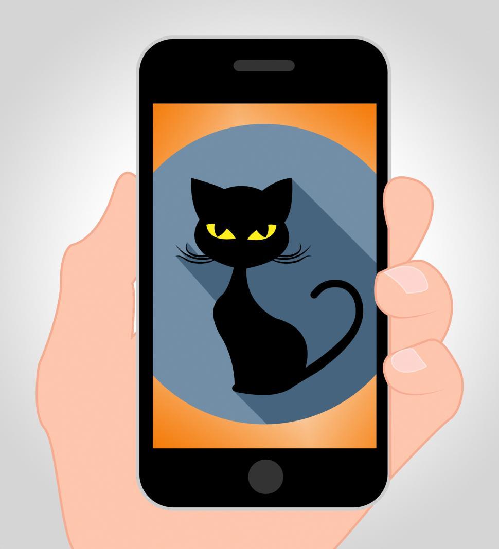 Free Image of Halloween Cat Online Means Trick Or Treat And Autumn 