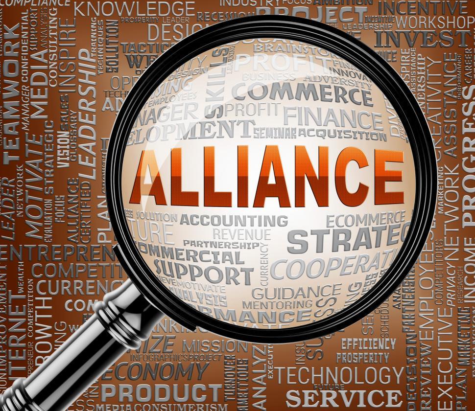Free Image of Alliance Magnifier Indicates Network Team And Cooperate 