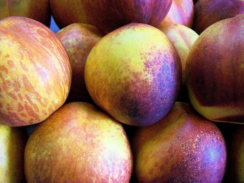 Free Image of Nectarines 