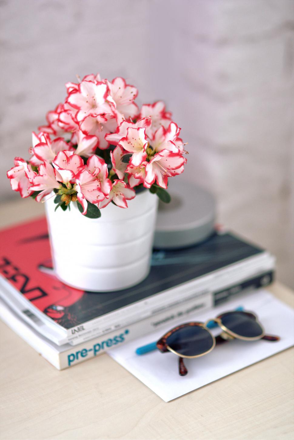 Free Image of Sunglasses on Stack of Books 