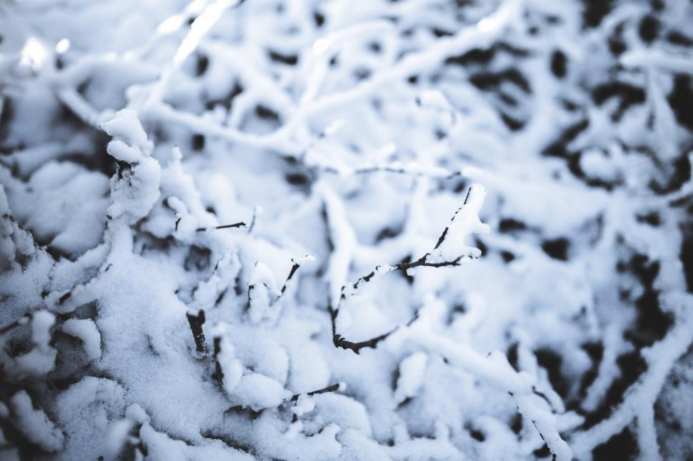 Free Image of Snow Covering the Ground 