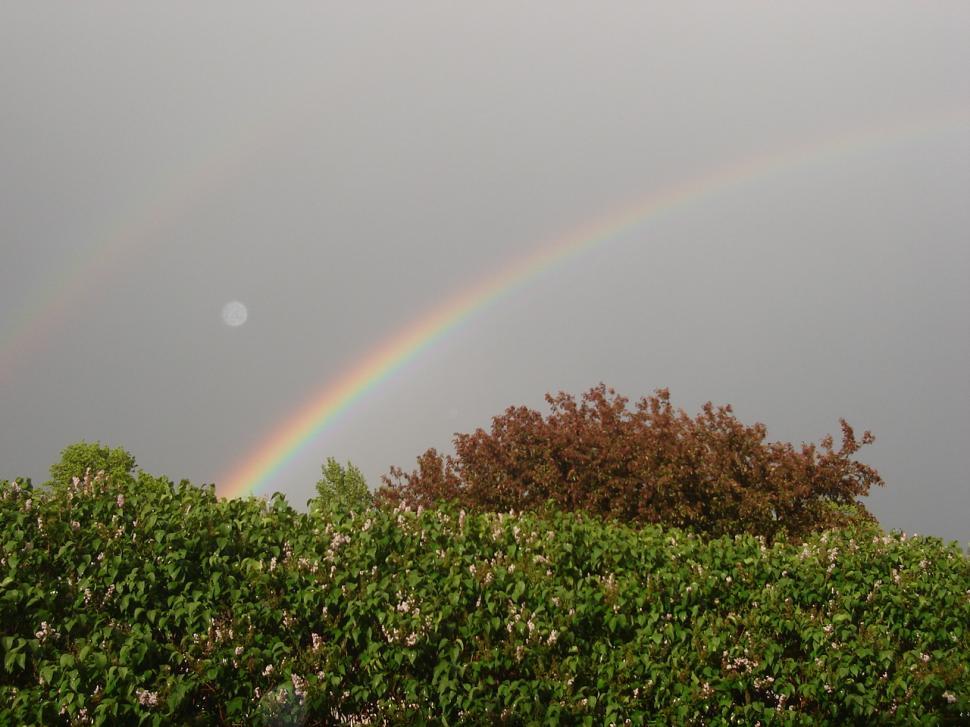 Free Image of Lilac with Rainbow 