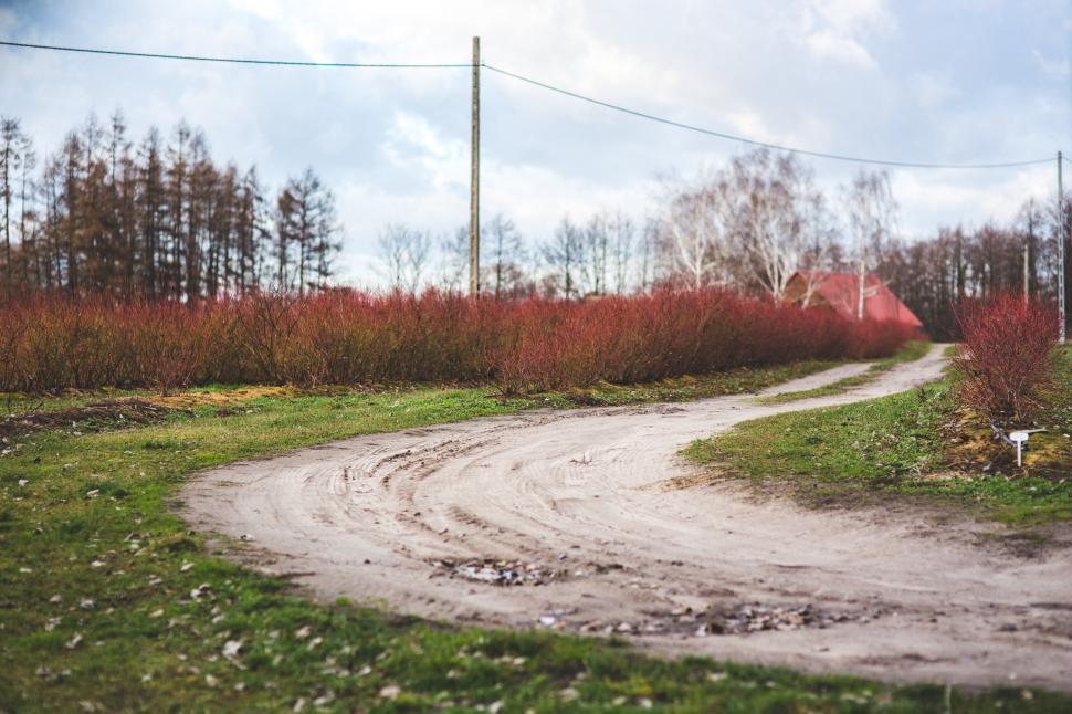 Free Image of Dirt Road Cutting Through Field 