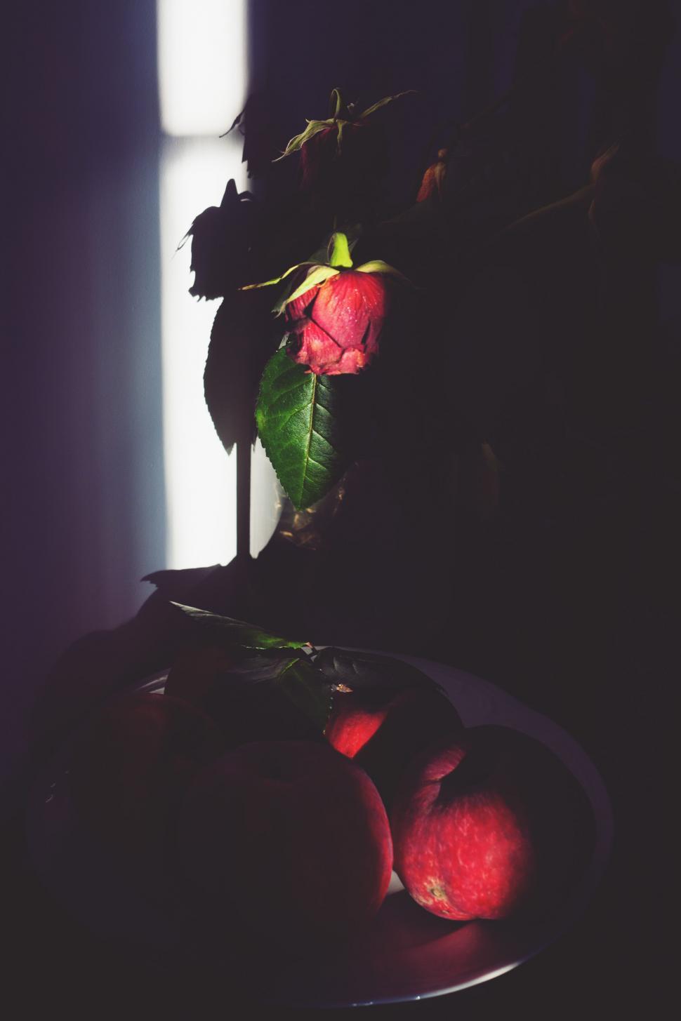 Free Image of Bowl of Fruit on Table With Window in Background 