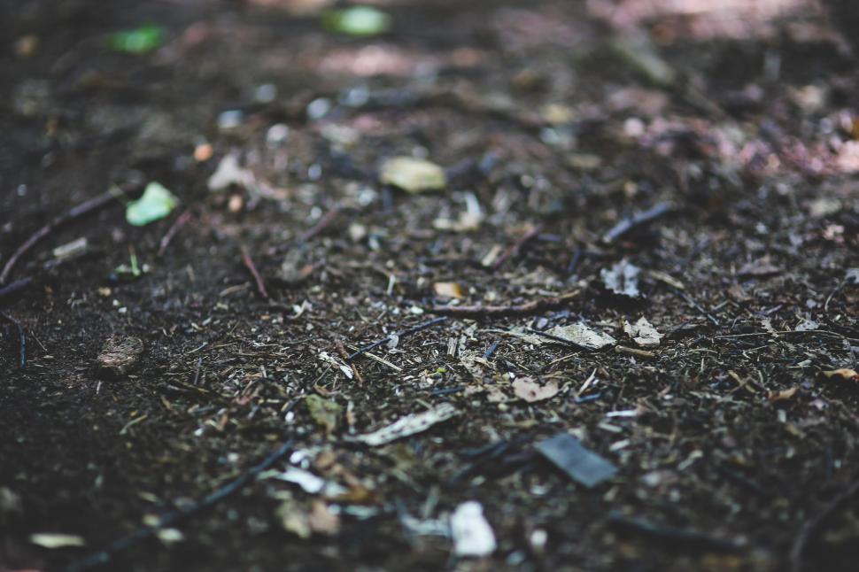 Free Image of Heap of Debris in Black and White 