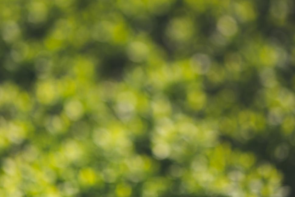 Free Image of Blurry Green Tree in Background 
