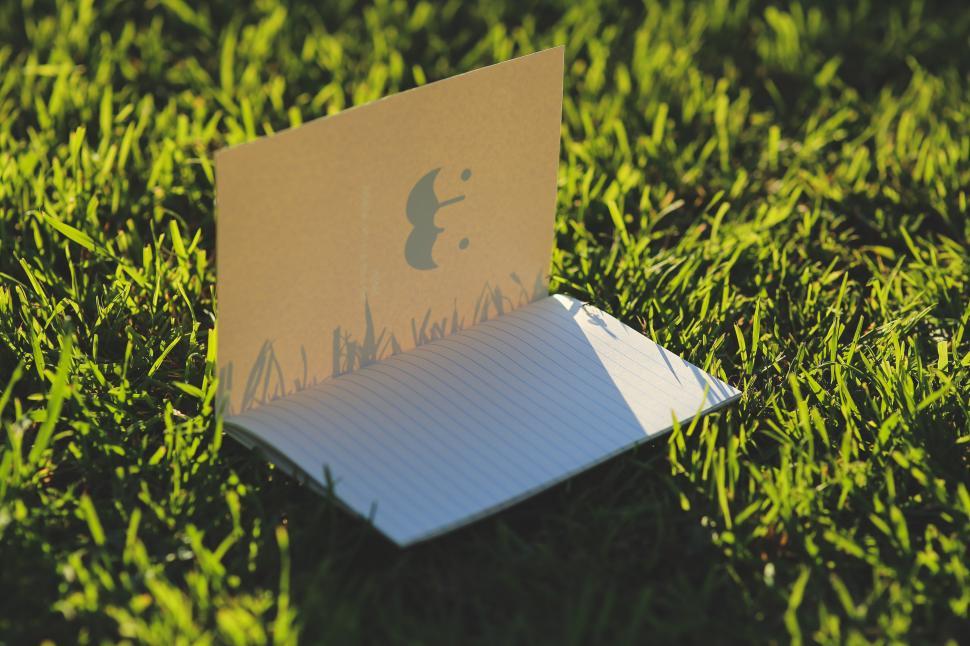Free Image of Cardboard on Green Field 