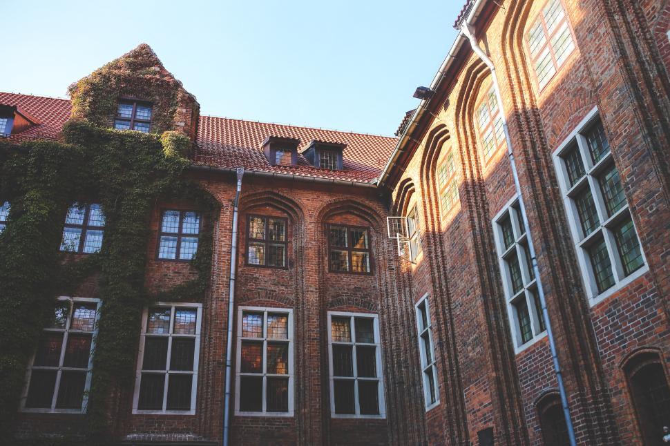 Free Image of Ancient Building Covered in Ivy 