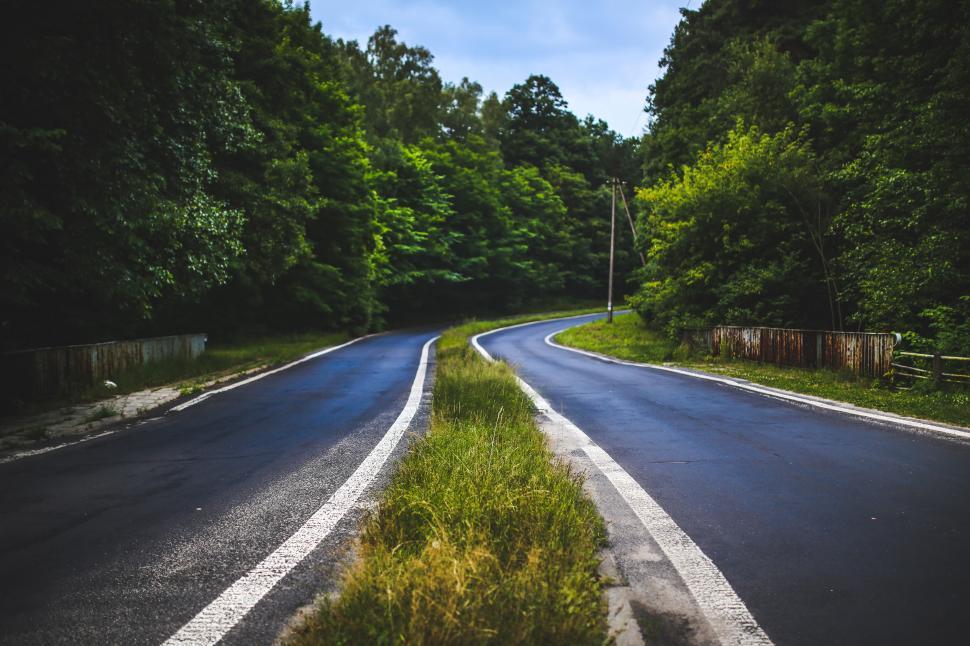 Free Image of Curved Road Through Forest 