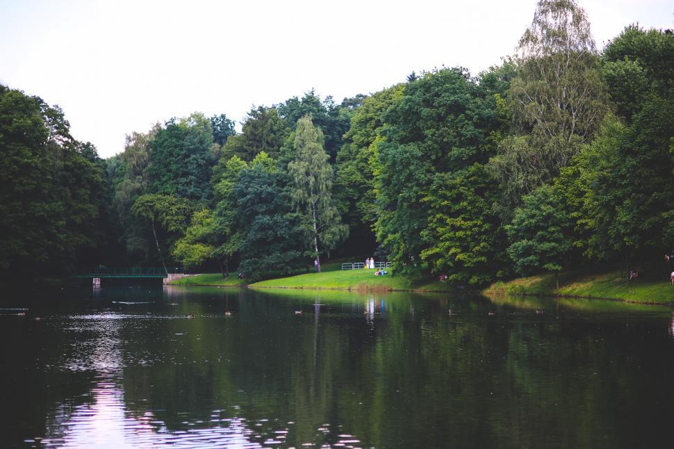 Free Image of Body of Water Surrounded by Trees and Grass 