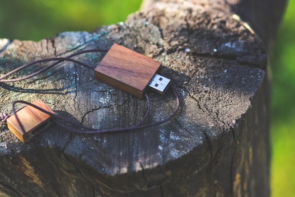 Free Image of Wooden Device on Tree Stump 