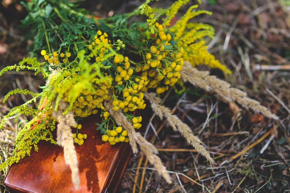 Free Image of Yellow Flowers on Wooden Box 