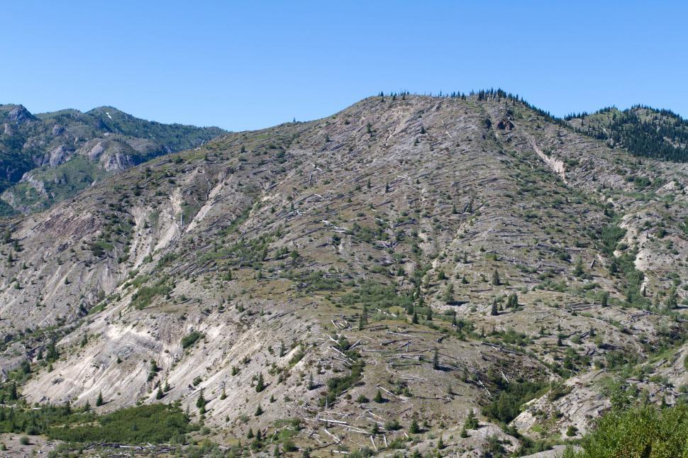 Free Image of Blast zone of Mount Saint Helens 