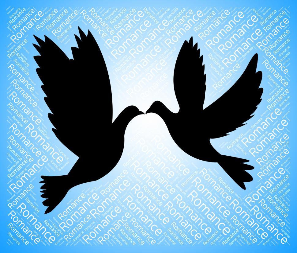Free Image of Dating Doves Indicates Sweetheart Relationship And Internet 