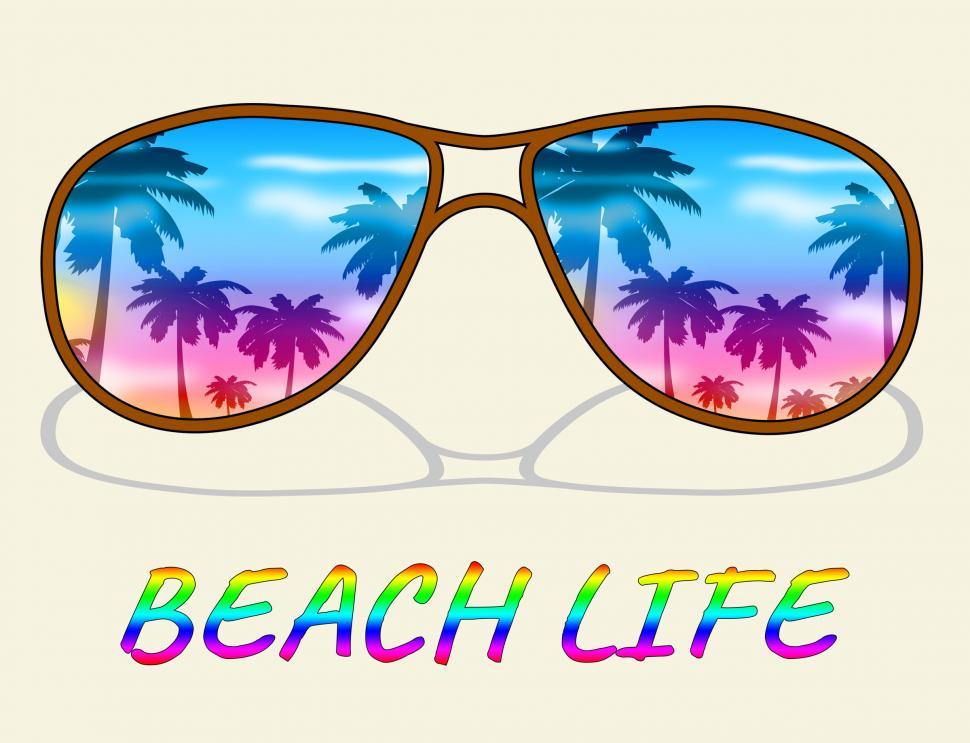 Free Image of Beach Life Represents Sea And Coast Living 
