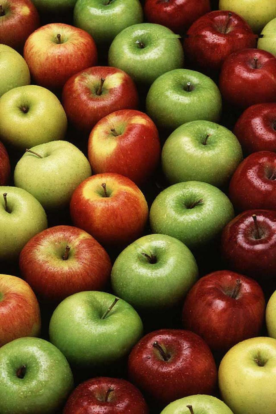 Free Image of Apples 