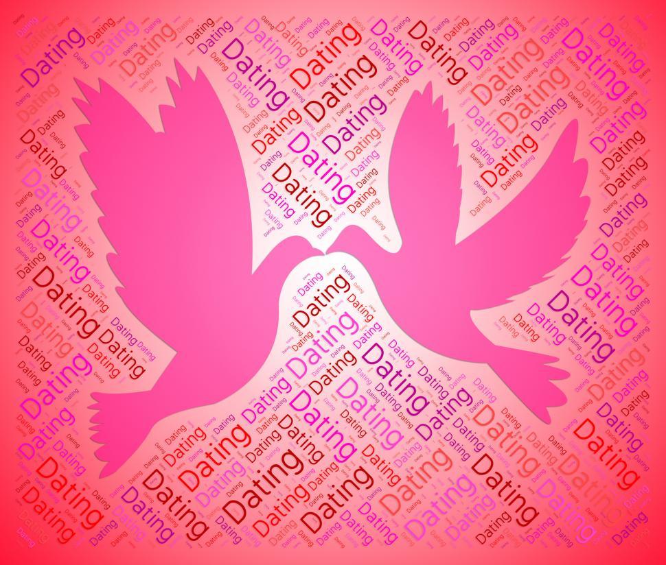 Free Image of Dating Doves Indicates Love Birds And Dates 