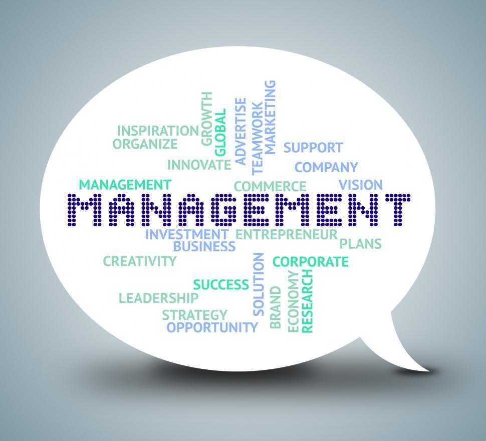 Free Image of Management Bubble Shows Authority Planning 3d Illustration 