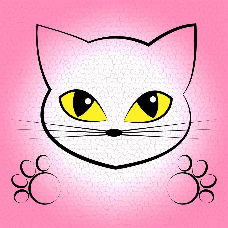 Free Image of Cute Cat Indicates Pet Kitty And Puss 