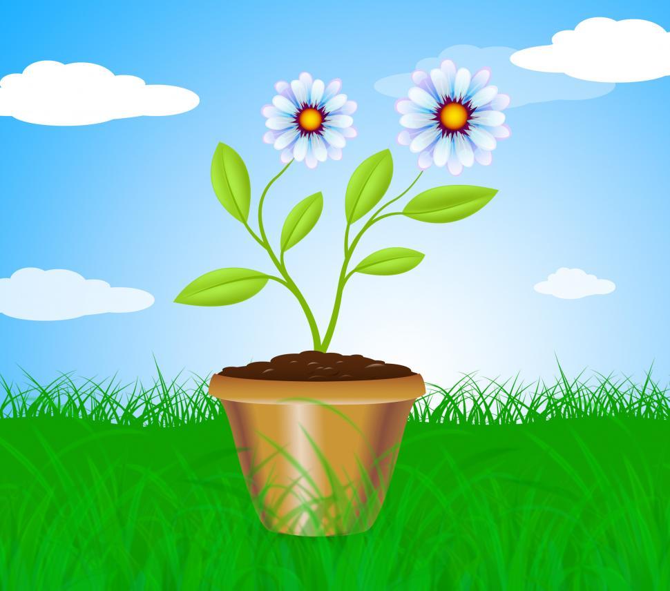 Free Image of Potted Plant Means Cultivation Gardening And Plants 