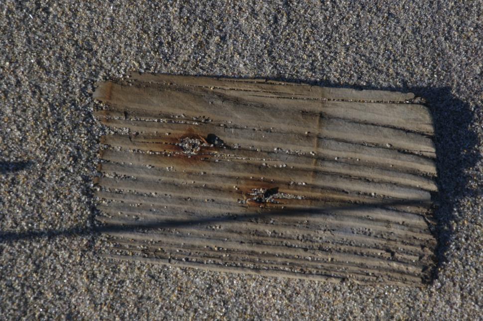 Free Image of Wood Ashore 