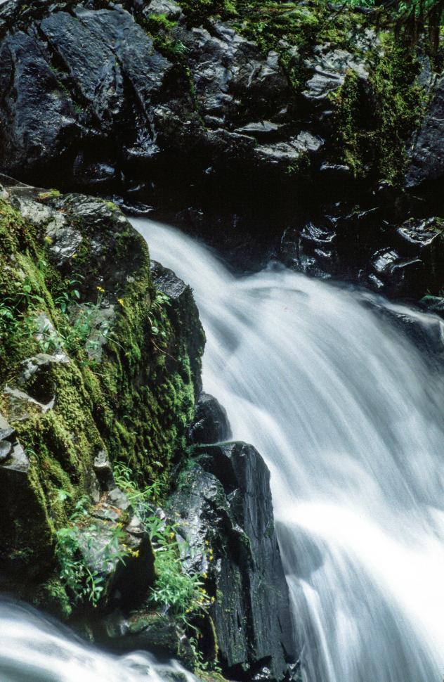 Free Image of Sol Duc Falls 