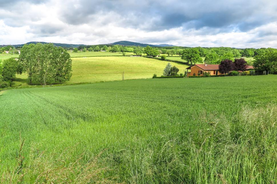 Free Image of Rolling fields with house 