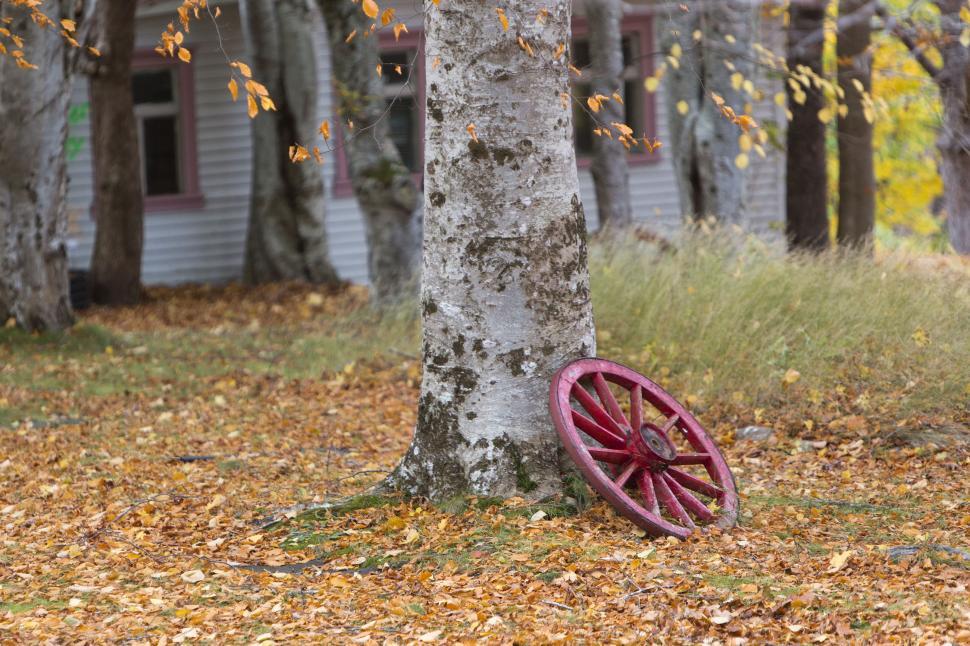 Free Image of Wagon wheel  