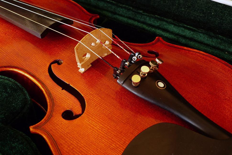 Free Image of Student Violin 