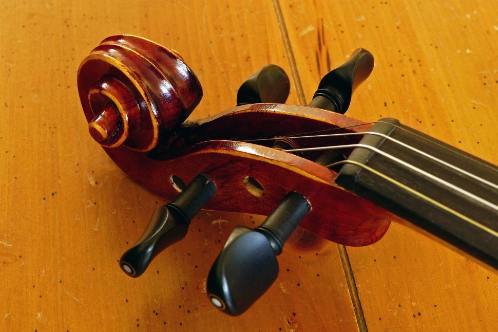 Free Image of Violin Pegs 