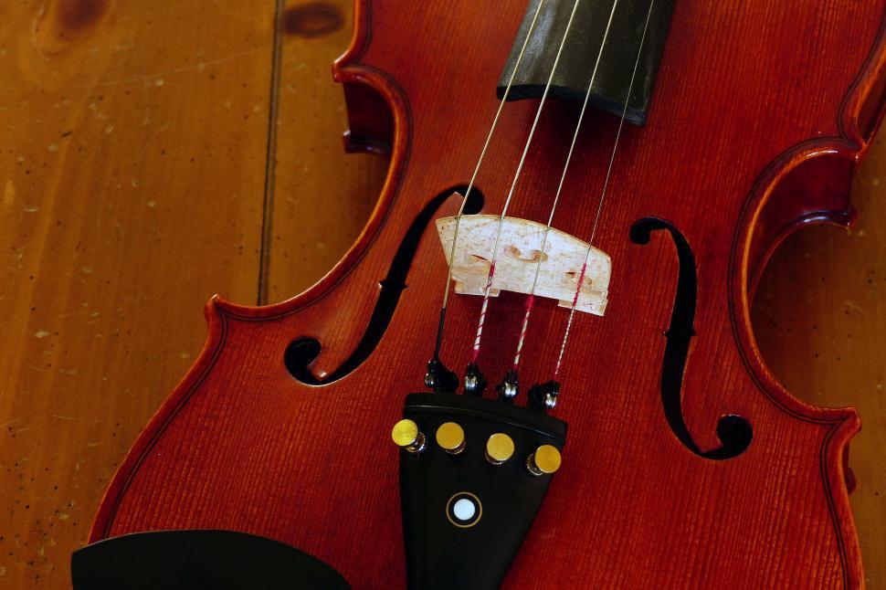 Free Image of Violin F Holes and Bridge 