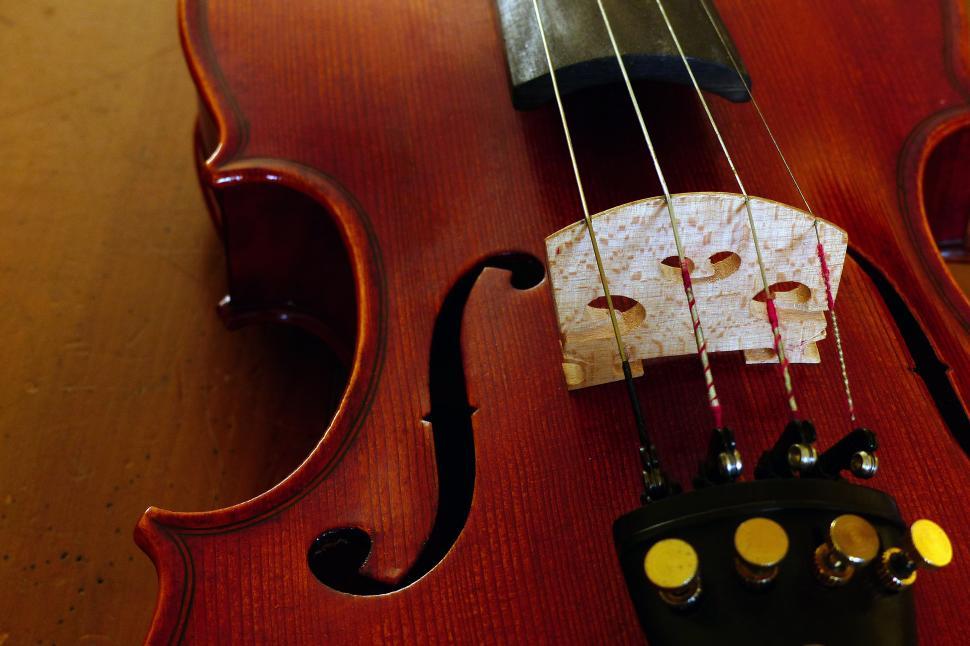 Free Image of Violin Bridge 