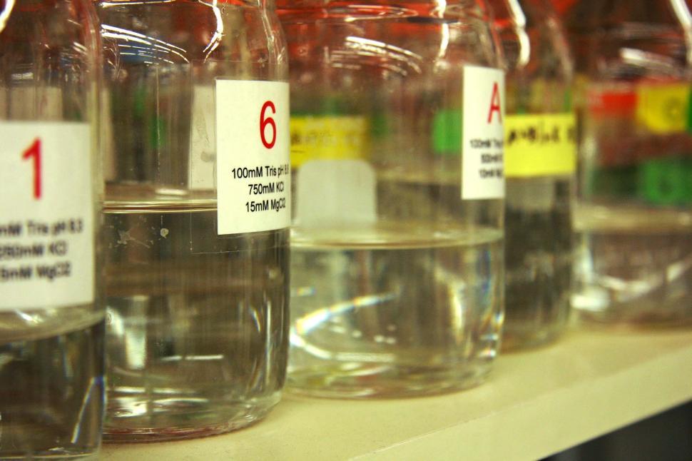 Free Image of Row of Glass Bottles Filled With Liquid 